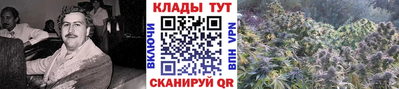 Как найти наркотики Краснообск omg сайт  МЕФ  Alpha PVP 